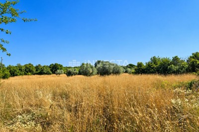 Galižana, Fondole, zemljište 4.045 m2 samo 70 m od ceste Pula–Vodnjan