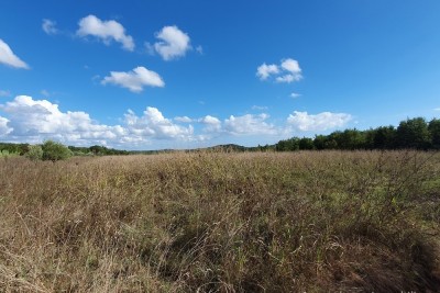 Landwirtschaftliche Fläche in der Nähe der Stadt Poreč, 44.885 m², zusammenhängend