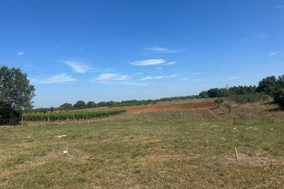 POREČ,  LIJEPO GRAĐEVINSKO ZEMLJIŠTE