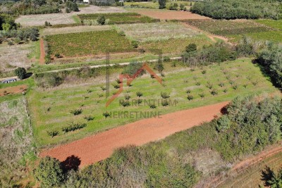 Istra, Vižinada - Zemljišče z gradbenim in kmetijskim delom