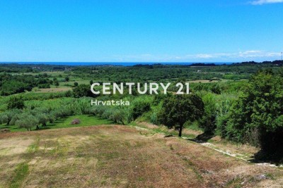 BUJE, ATRAKTIVNO GRAĐEVINSKO ZEMLJIŠTE SA PANORAMSKIM POGLEDOM NA MORE