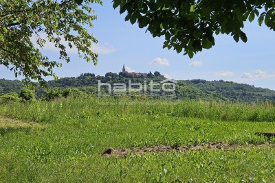 Grožnjan okolica - PRILIKA! Građevinsko zemljište s pogledom na Grožnjan, Motovun i vinograde
