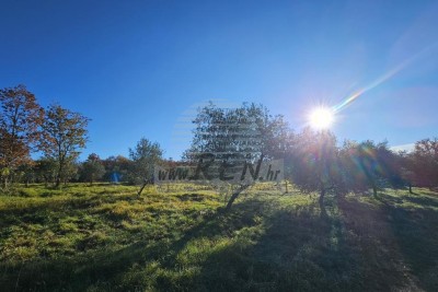 Pozemek Buje