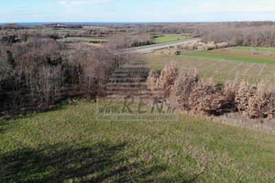 Building land in Brtonigla