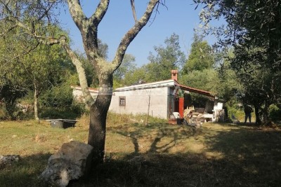 Rovinj, grüne Oase des Friedens in der Nähe des Meeres