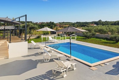 Porec area, Visnjan - House with swimming pool and 1500 m2 of land, ABSOLUTE PRIVACY