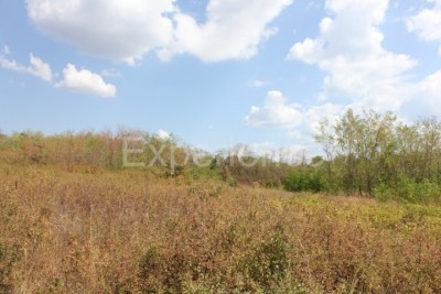 Kaštelir – poljoprivredno zemljište, površine 13.080 m²