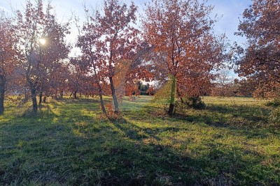 Poreč, Surroundings, Building Land in a Beautiful Location 6 km from the Sea