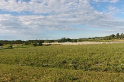 Building land