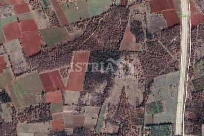 Attractive agricultural land - Poreč