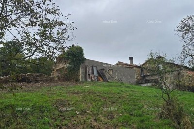 Veliko imanje s kućom i građevinskim zemljištem, okolica Buzeta