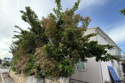 Geräumige Wohnung in Bašanija in Meeresnähe