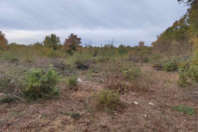 Sveti Lovreč - građevinsko zemljište 2 024 m2