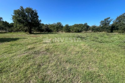Peroj, više poljoprivrednih zemljišta po 500 m²