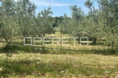 Plot Marčana