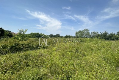 Brtonigla, okolica - zanimljivo poljoprivredno zemljište od 1900 m2