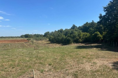 POREČ,  LIJEPO GRAĐEVINSKO ZEMLJIŠTE ZADNJE U GRAĐEVINSKOJ ZONI