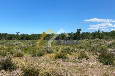 Large plot of land Bale 42074 m2