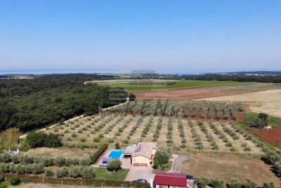 Kuća sa bazenom i pogledom na more kod Novigrada