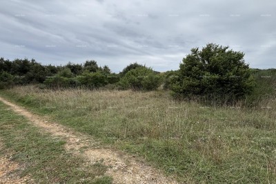 Building land