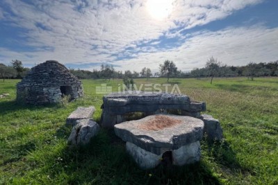 Vodnjan, terreno agricolo con ulivi