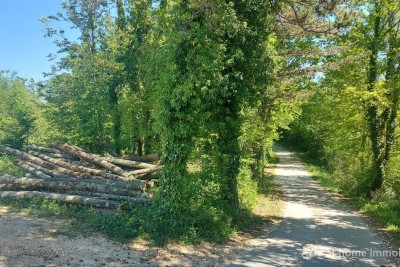 PAZIN – STANCIJA PATAJ, Terreno edificabile 1488 m²