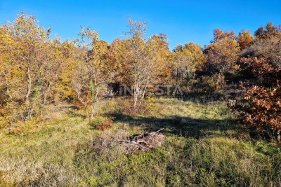 Štokovci - residential 645 m² and agricultural 1603 m² land