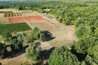 Grond Sveti Lovreč