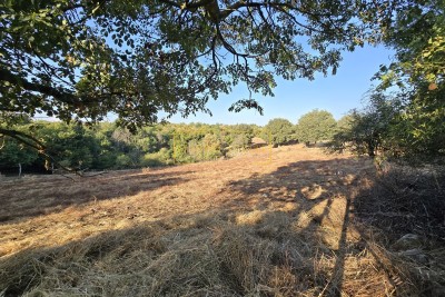 BUILDING LAND IN A QUIET AND PLEASANT LOCATION, NEAR VIŠNJAN!