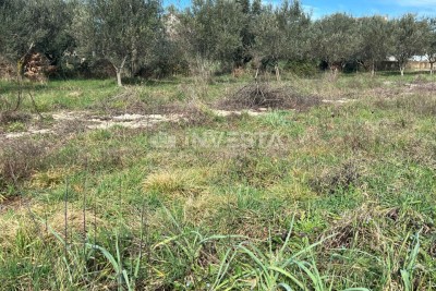 Terreno edificabile in una zona tranquilla e ambita