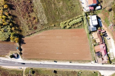Building land