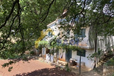 A large secluded estate - Šišan