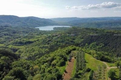 GRIMALDA – attraktives Baugrundstück mit Blick auf die Natur, 1162 m2