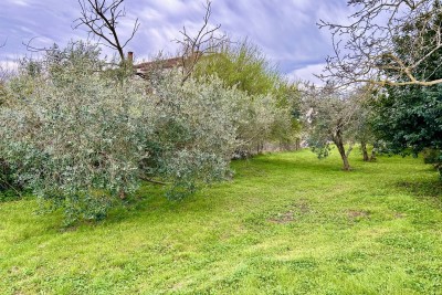 UMAG, GRAĐEVINSKO ZEMLJIŠTE SAMO 1.5 KM OD MORA