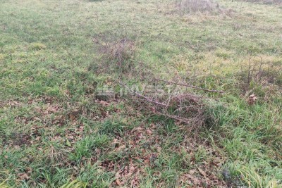 Terreno agricolo lungo la strada nei dintorni di Pola
