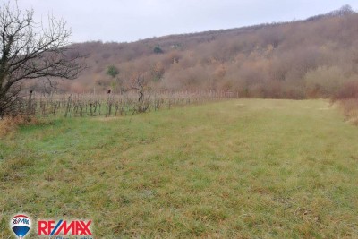Farmland Ripenda Kras, Labin, 11.226m2