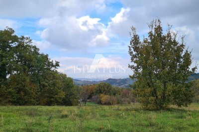 Motovun area Building plot with a project, surrounded by untouched nature