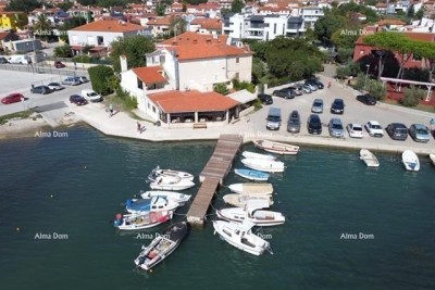 Dům