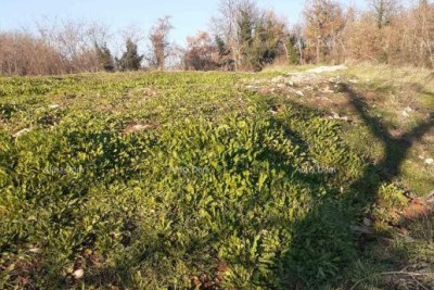 Building land