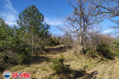 Terreni agricoli Lesišćina, Lupoglav, 36.994m2