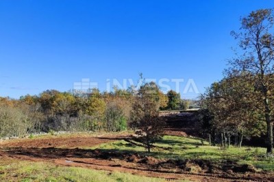 Barban, Rojnići, mehrere Baugrundstücke, 693 m2 - 910 m2