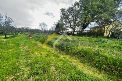 POMER - building land near the sea!