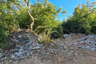 ROVINJ,POLJOPRIVREDNO ZEMLJIŠTE 11.024 m², 3,5 KM OD PLAŽE, PRILIKA!