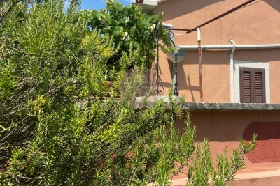 Fantastična nekretnina od cca 3000 m2 s kućom za renoviranje