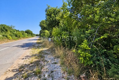 Galižana, zemljište 4.650 m2 direktno uz cestu