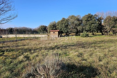 Šišan, Agricultural Land 1451m², Close to the Sea