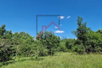 Zemljišče Sveti Lovreč