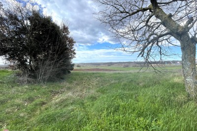 ISTRIEN, BARBAN UMGEBUNG, LANDWIRTSCHAFTLICHES GRUNDSTÜCK