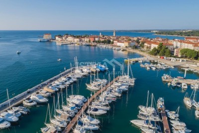 Attractive agricultural land with olive trees - 3 km from Poreč and the sea