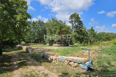 Parenzo 17 km - Terreno edificabile e agricolo, ai margini del paese, privacy e pace